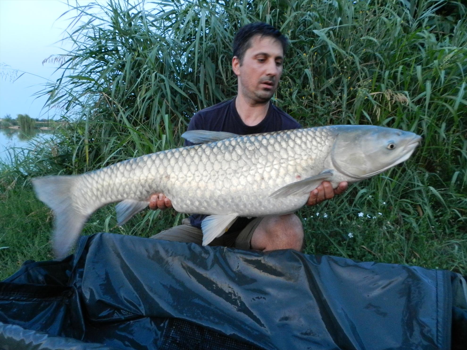 2015/iulie capturi - dscn4027.JPG